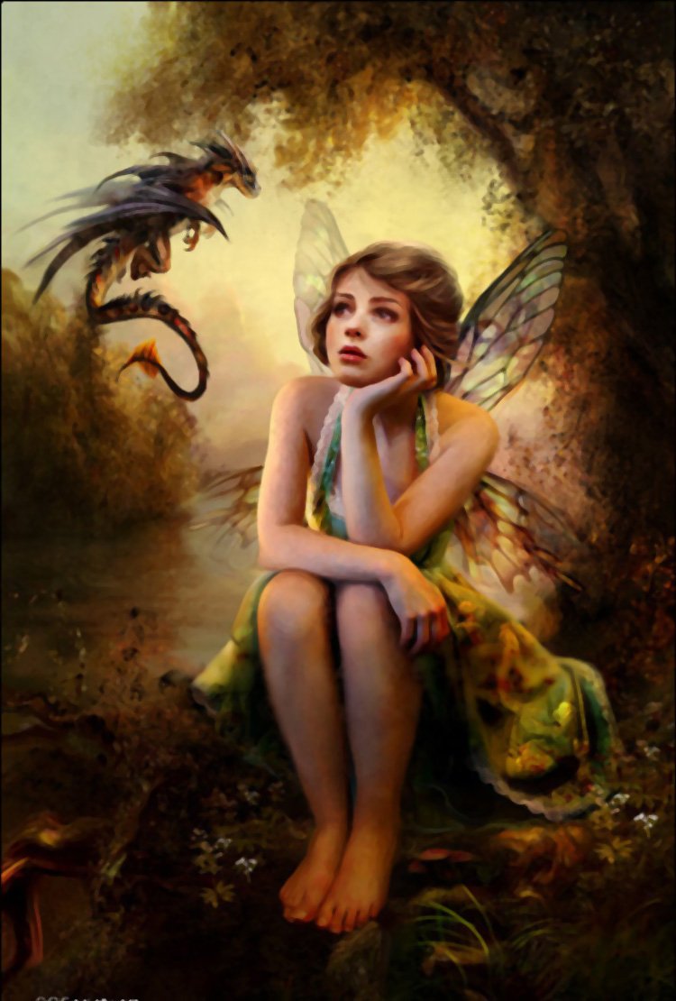 A barefoot fairy with colorful wings sits thoughtfully in a mystical forest, gazing up at a small dragon hovering nearby. The scene captures a magical fantasy ambiance.