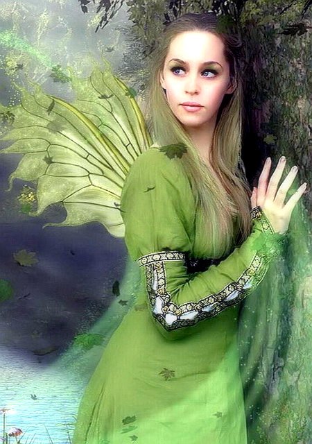 The Alpha and his Christmas Fairy by Kindra White The Alpha and his Christmas Fairy by Kindra White