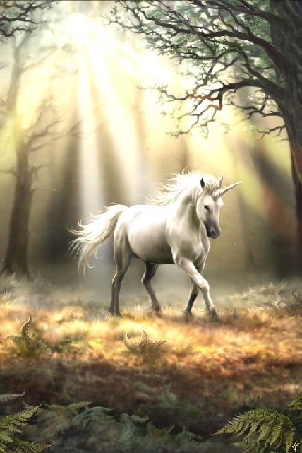 Glimpse of a Unicorn by Anne Stokes