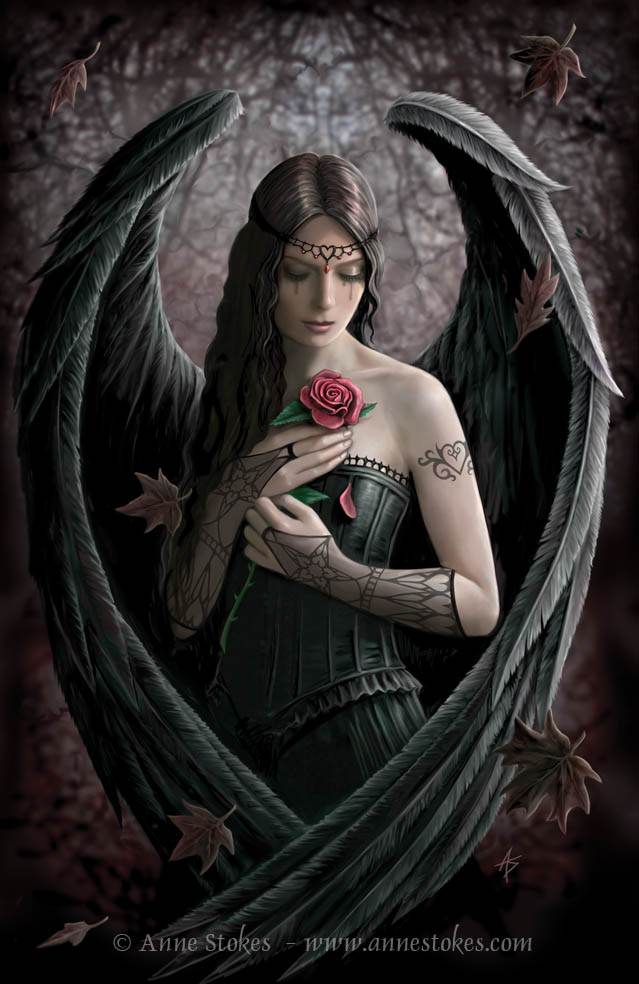 Angel Rose by Anne Stokes