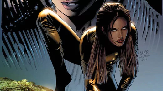 Comic Birds Of Prey Image