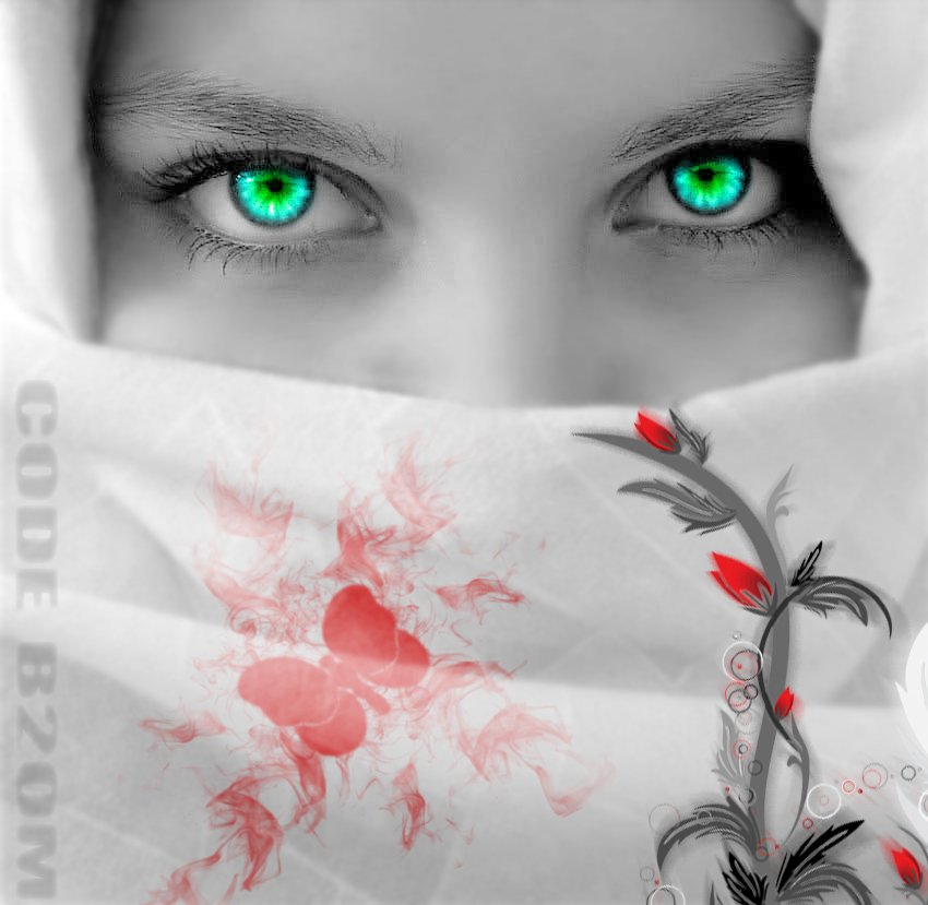 Photoshop work by code b2OM by Ghannay