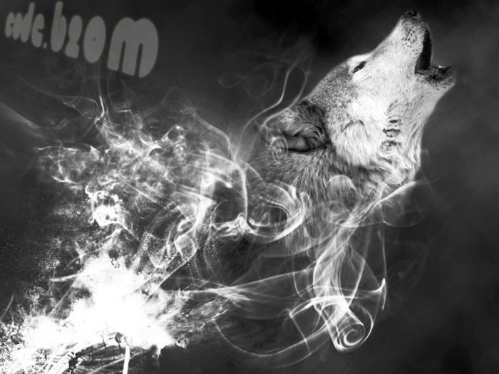 Photoshop work by code b2OM by Ghannay