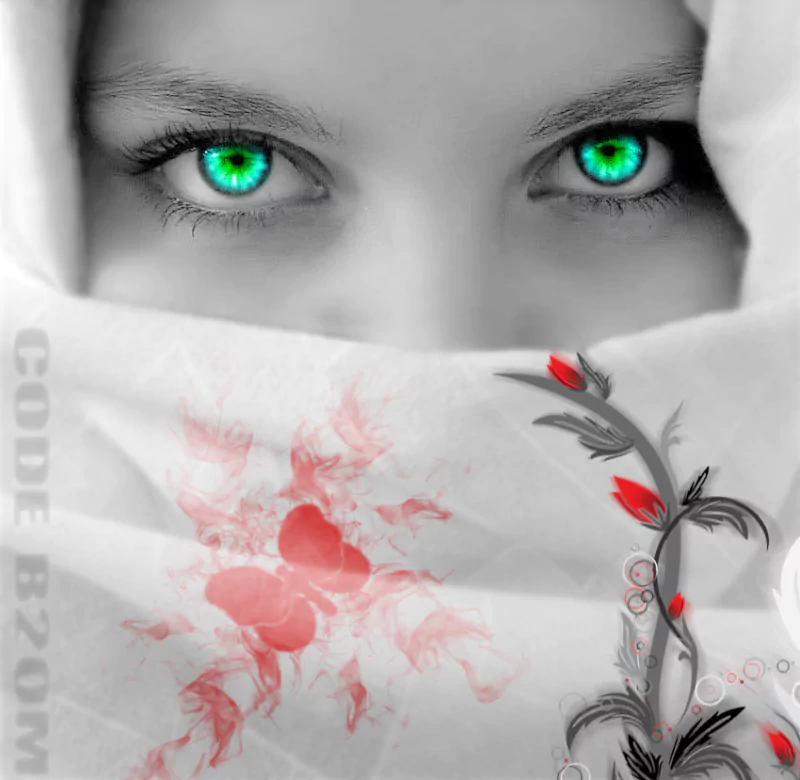  Photoshop work by code b2OM