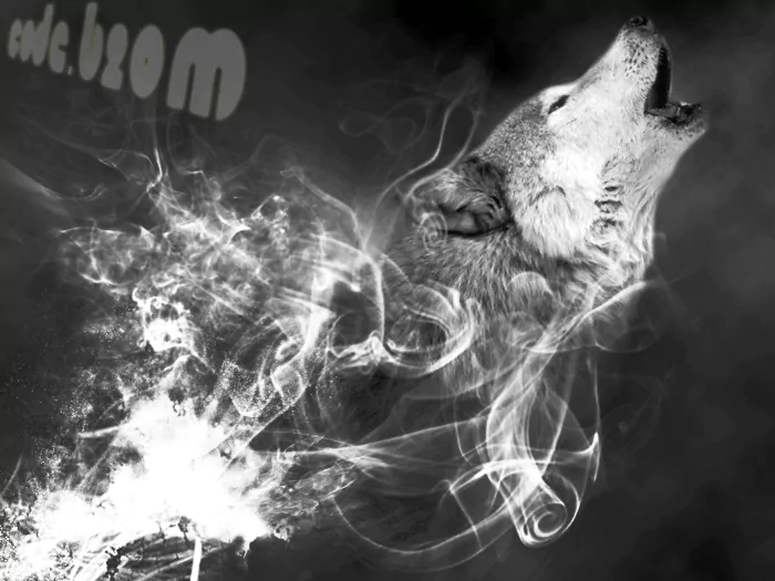  Photoshop work by code b2OM