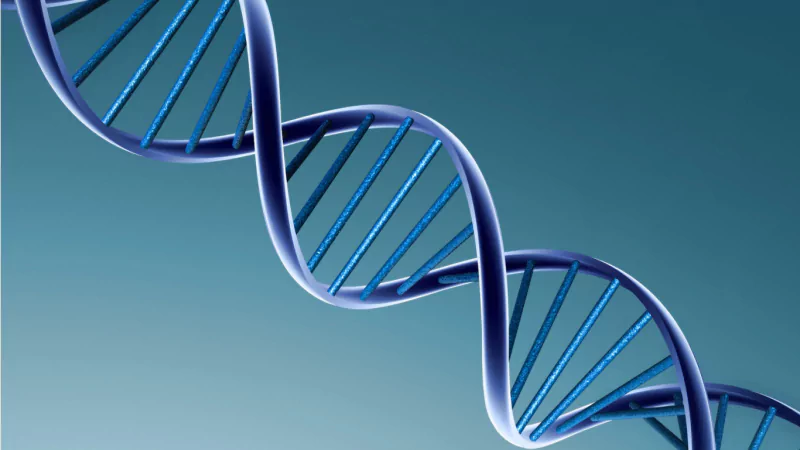 artistic DNA Structure Image