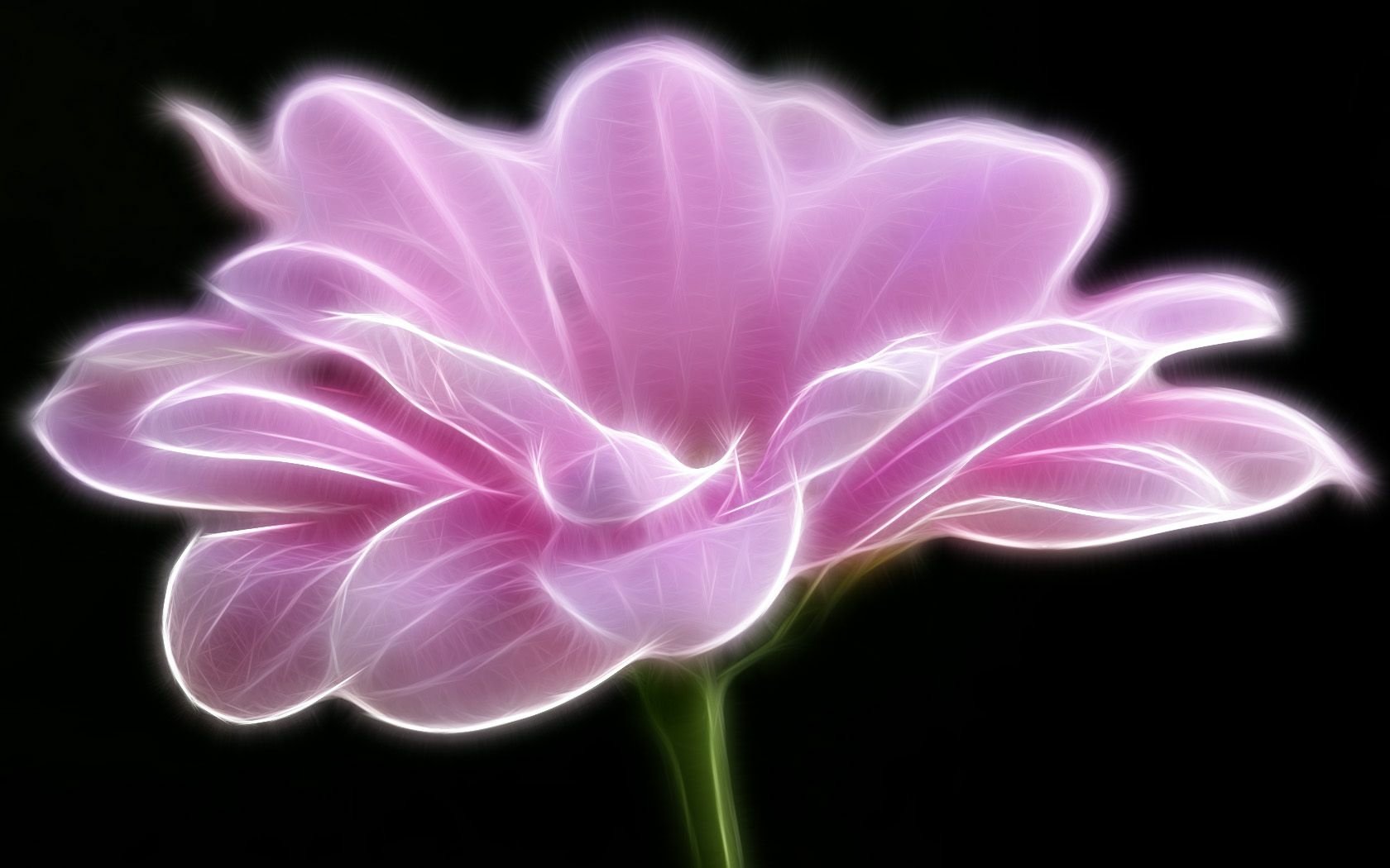 A beautifully artistic depiction of a soft pink flower, radiating with light against a dark background, showcasing delicate petals and graceful curves.
