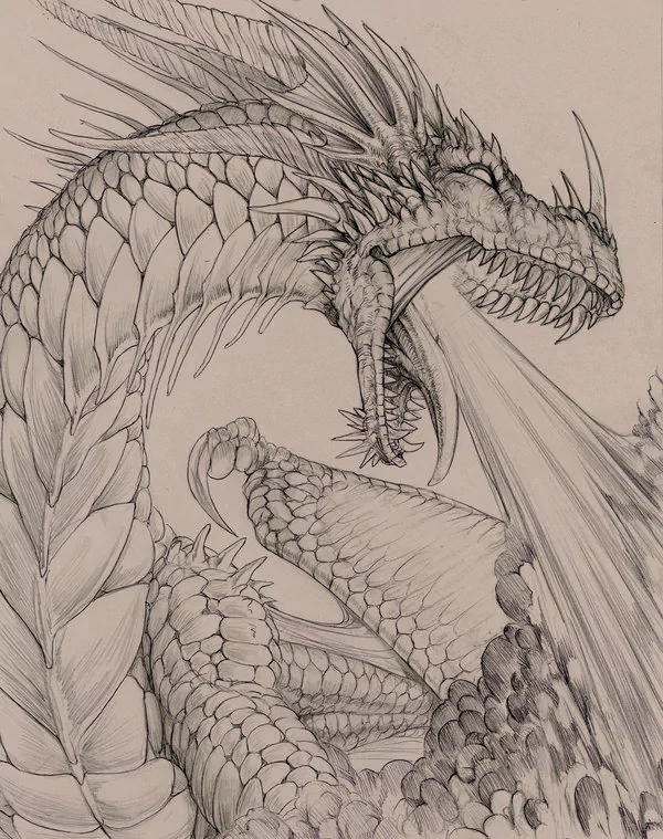 A detailed artistic drawing of a dragon, showcasing intricate scales, fierce expression, and dynamic posture, exuding power and majesty.