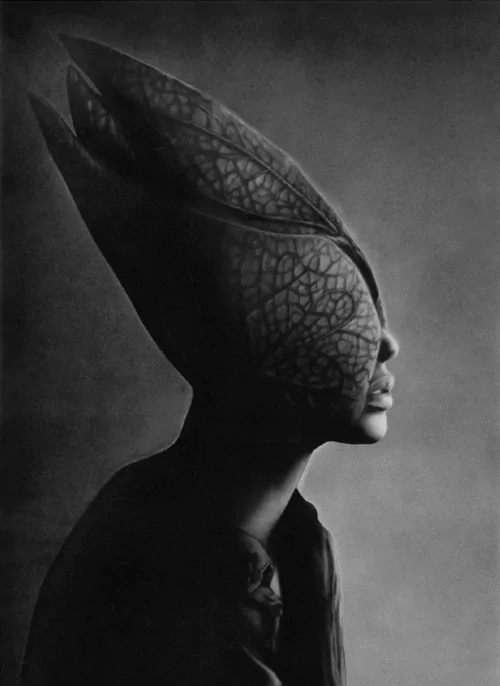 Portrait of a gothic figure with a dark, intricate leaf-like headpiece obscuring part of their face, evoking a mysterious witch-like presence.