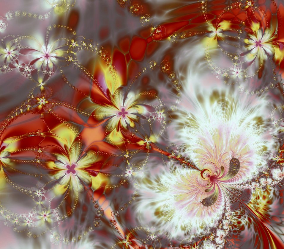 Abstract fractal artwork created with Apophysis software, featuring intricate floral patterns in red, yellow, white, and soft gray tones swirling dynamically across the canvas.