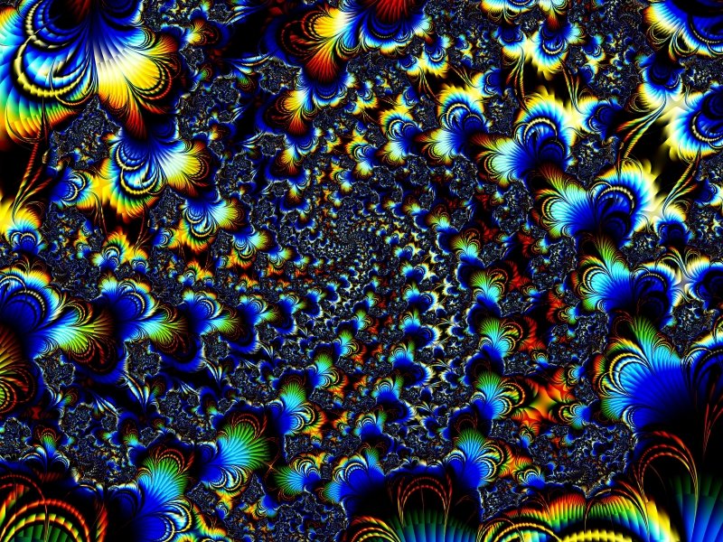 24088
