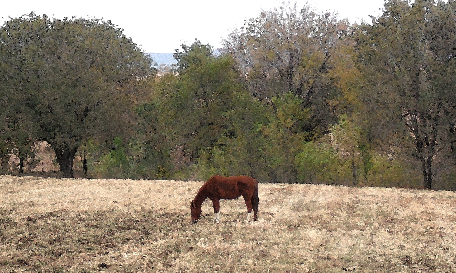 A watercolor painting of a brown horse grazing in a grassy field, surrounded by trees and a serene landscape.