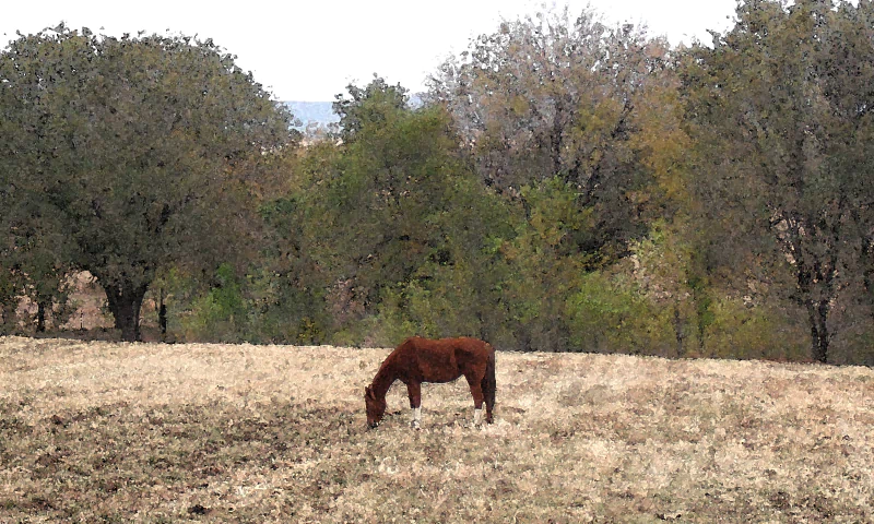 A watercolor painting of a brown horse grazing in a grassy field, surrounded by trees and a serene landscape.