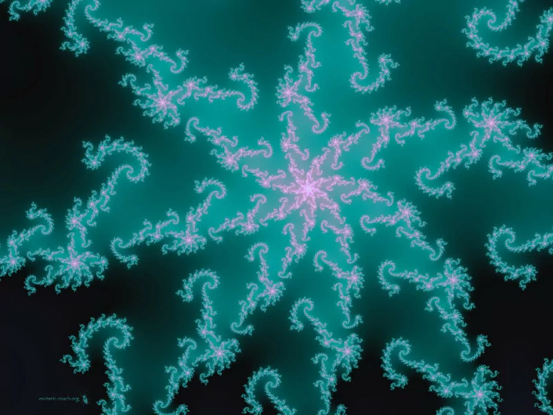 Artistic abstract teal and pink fractal spiral forming a radiating starburst of curling tendrils against a dark background.
