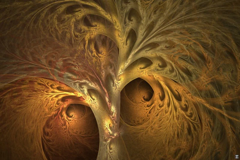 Abstract fractal image of swirling golden-brown feathered tendrils forming vortex-like openings around a central branching structure.