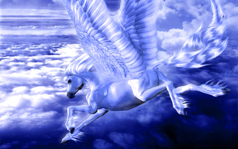  Sky Stallion