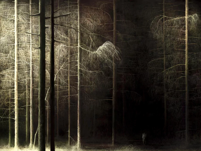 A dark forest with tall, sparse trees creates an eerie atmosphere, hinting at the presence of a wolf lurking in the shadows, blending into the natural surroundings.