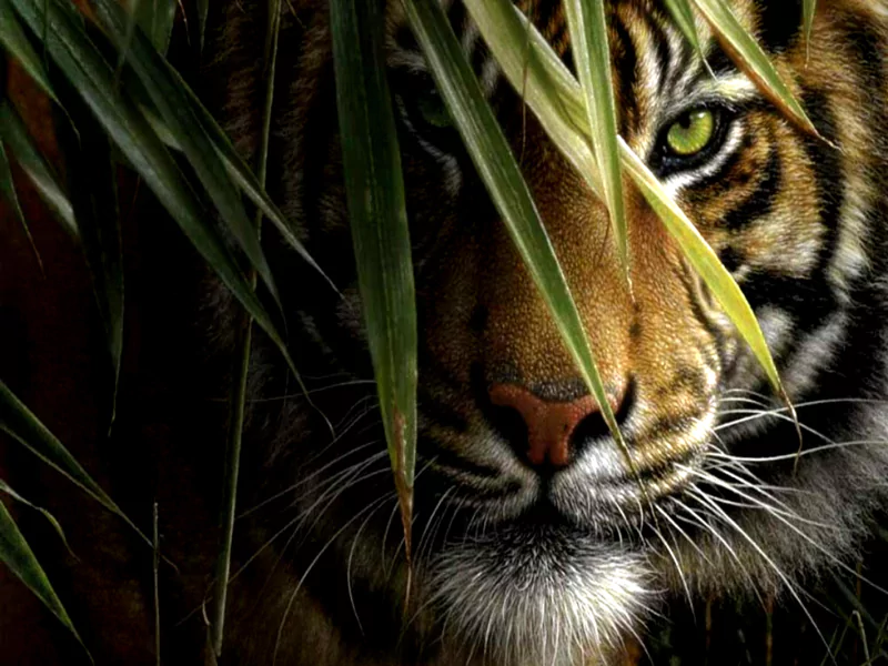 A close-up of a tiger's face partially obscured by green leaves, featuring vivid eyes and distinctive stripes, embodies the essence of wildlife in a serene natural setting.
