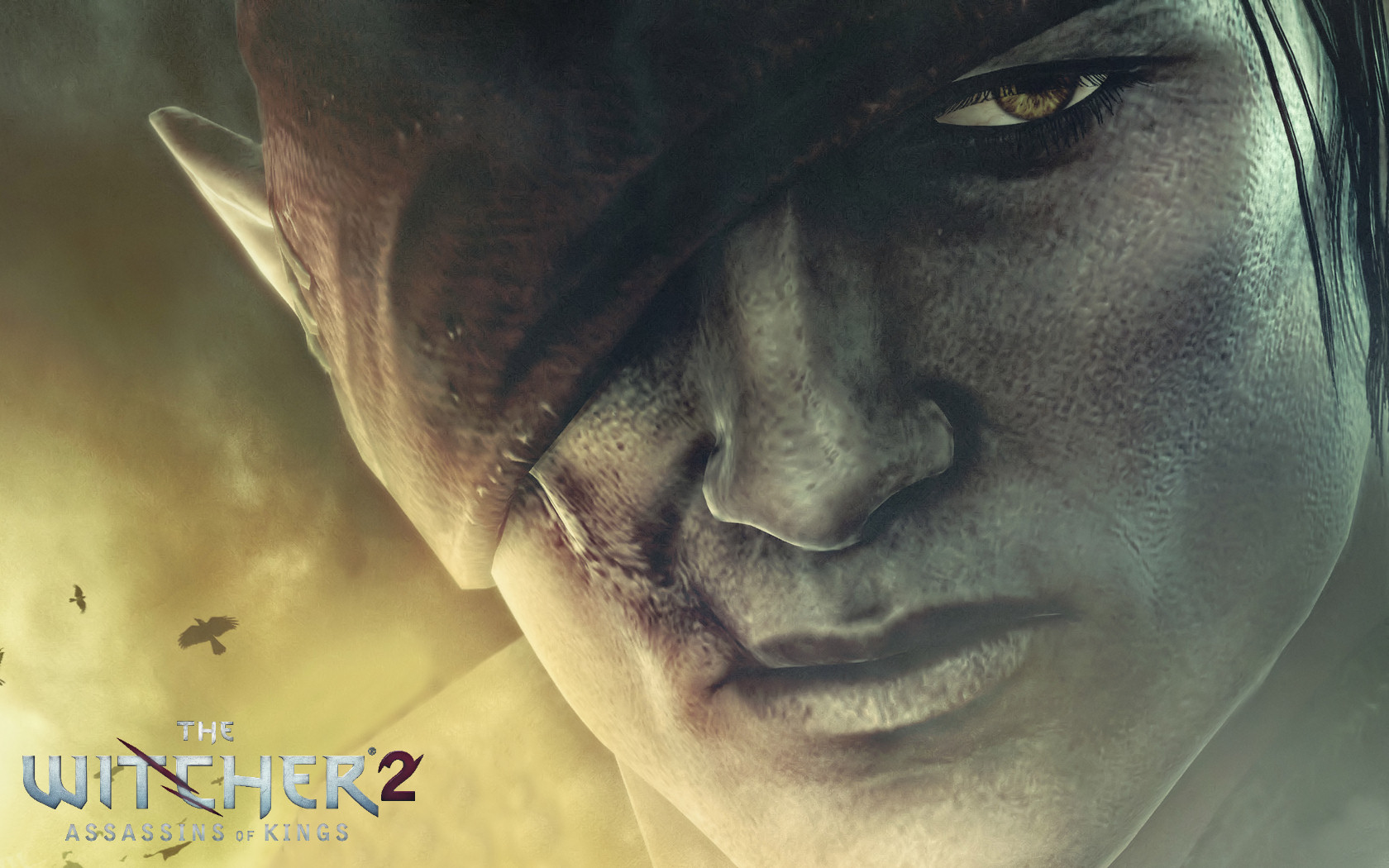Download Video Game The Witcher Art