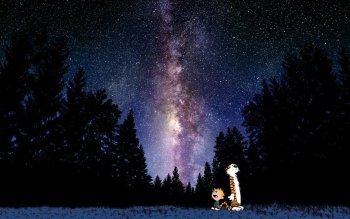 Gallery ID: 1385 Calvin And Hobbes