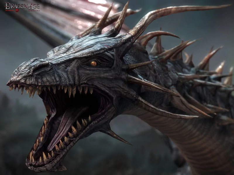 video game Dragon Age Image