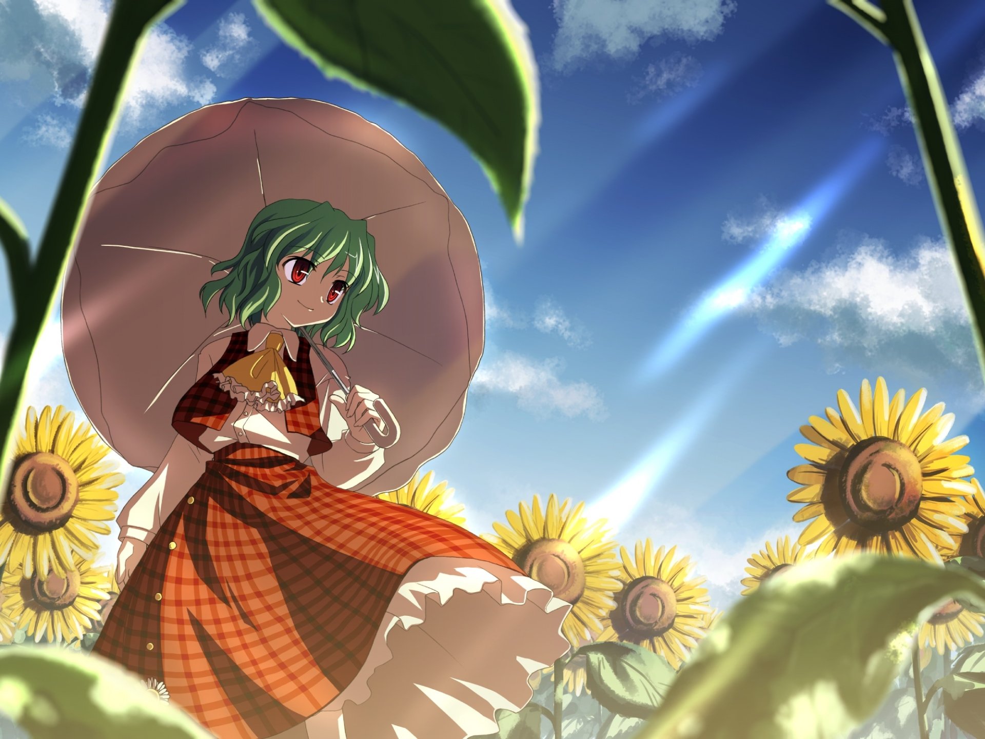Download Yuuka Kazami Anime Touhou Art
