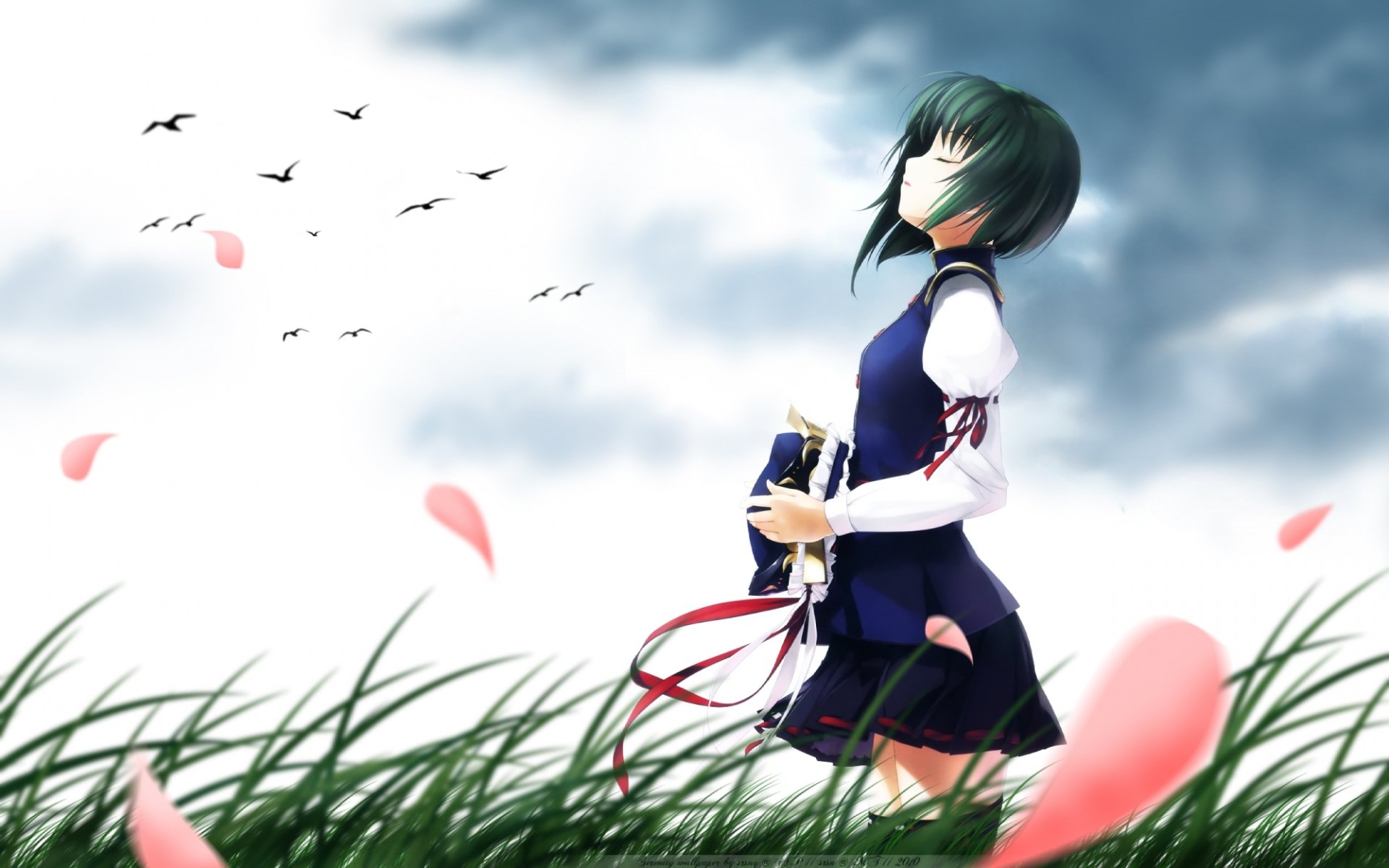 Shikieiki Yamaxanadu from the Touhou anime stands amidst tall grass with petals floating around, under a cloudy sky with birds flying in the distance.