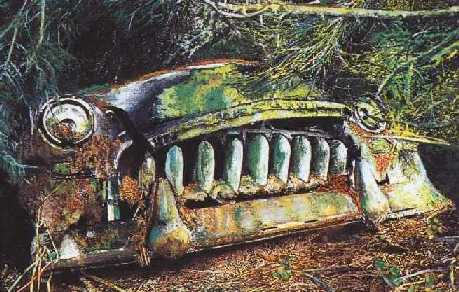 Rusty vehicle wreck partially buried under foliage, with large, exposed teeth-like features on its front.