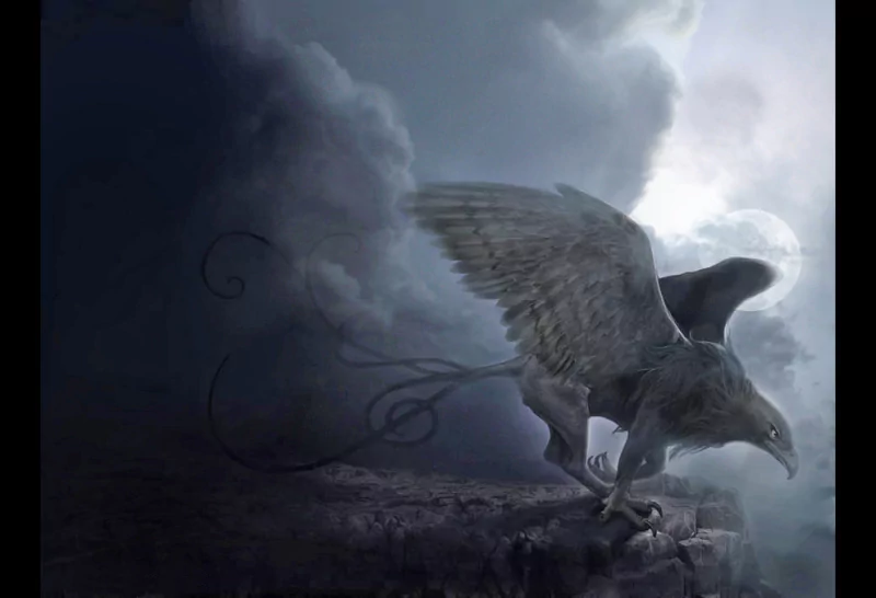 fantasy griffin Image