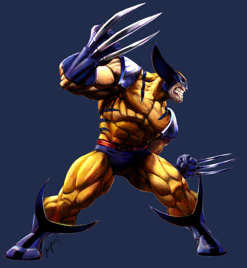Wolverine 4 ~ Marvel Vs Capcom 2 by Joe Vriens