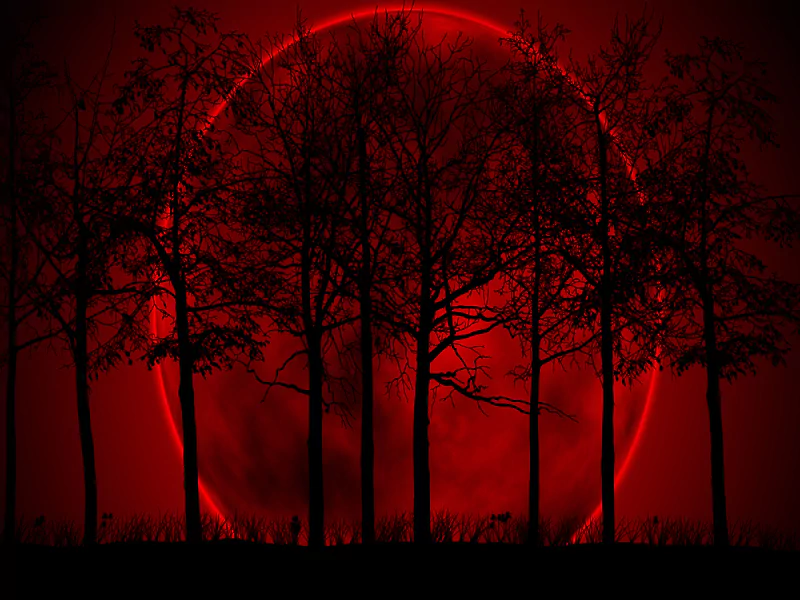Silhouetted trees stand against a large, glowing red moon in a dark, eerie night setting.
