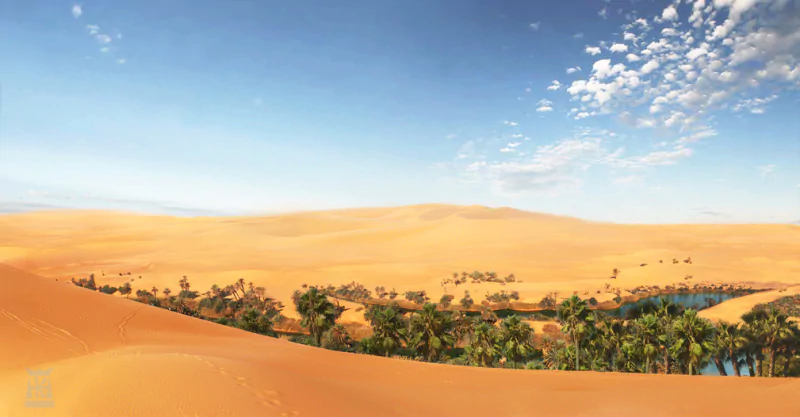  Desert Oasis