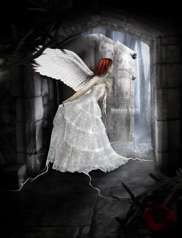 Download Dark Angel Art