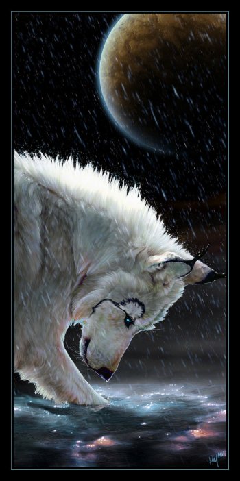WOLVES - A Gallery By: BrokenMangle45 At Alpha Coders