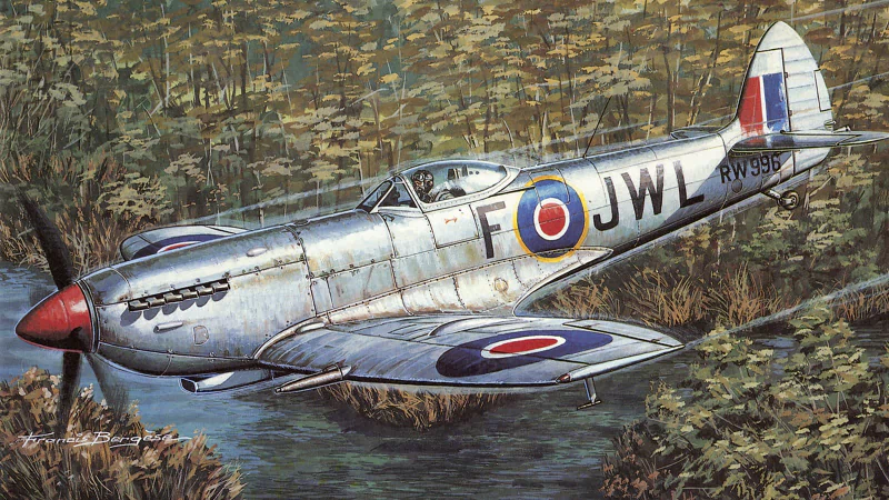 Painting of a military aircraft: a silver WWII-era RAF fighter with roundels and squadron code, skimming low over marshy terrain.