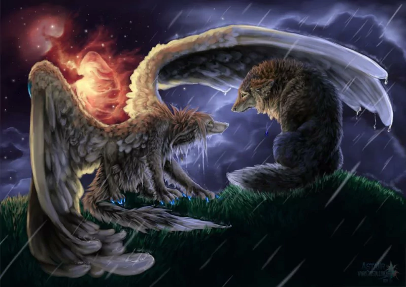 A dramatic fantasy scene depicts two mythical animals: a winged creature and a wolf-like being, facing each other amidst a stormy night under a vibrant, cosmic sky.