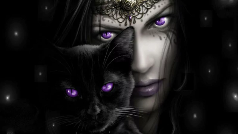 Fantasy witch with ornate forehead jewelry and glowing purple eyes peers from shadow, holding a black cat whose eyes also glow purple amid floating pinprick lights.