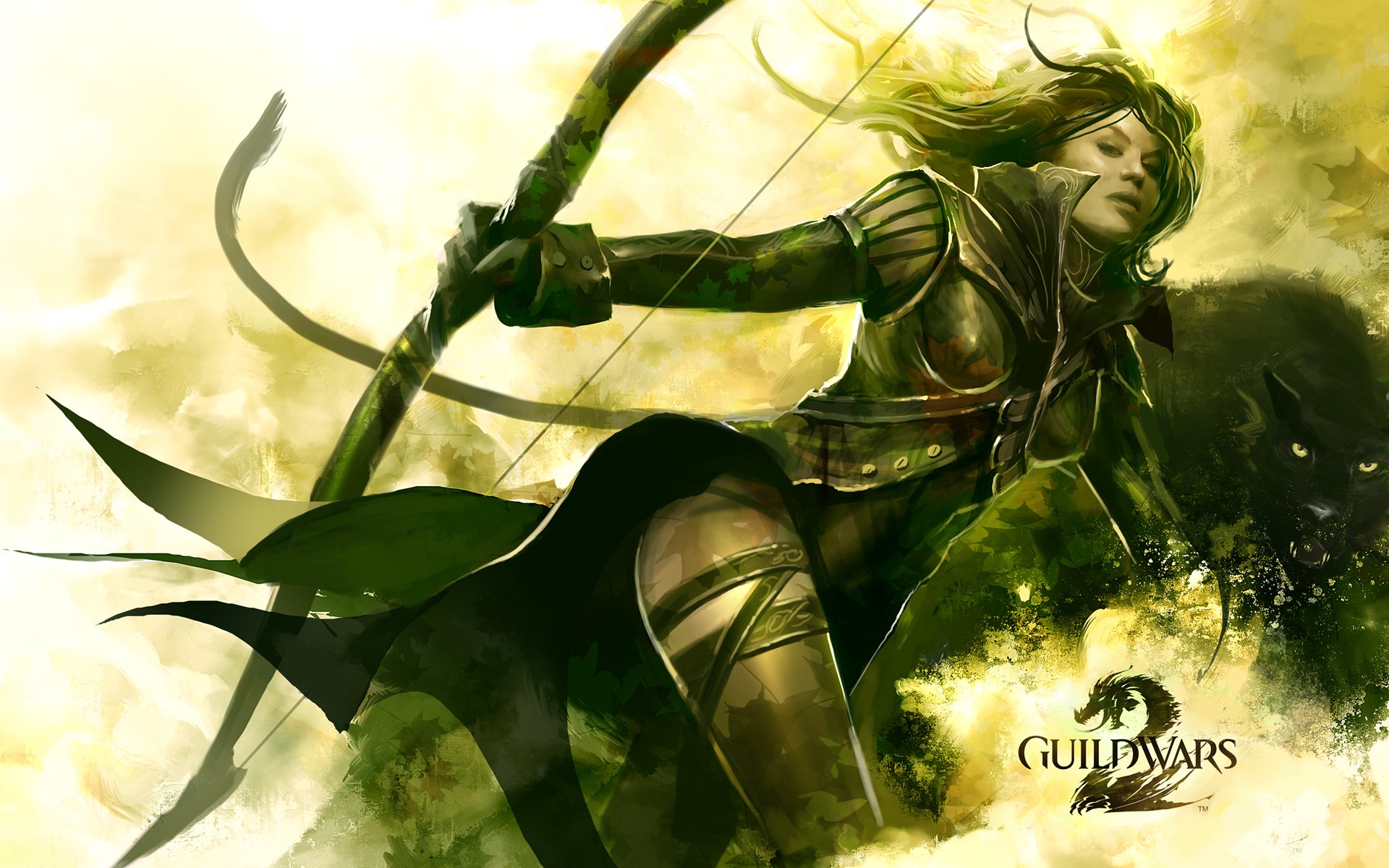 Video Game Guild Wars Art