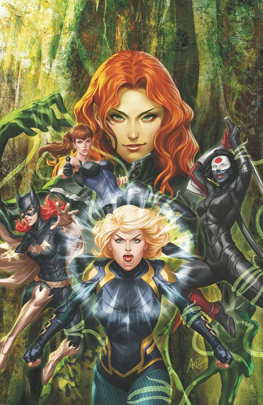 Comic Birds Of Prey Image