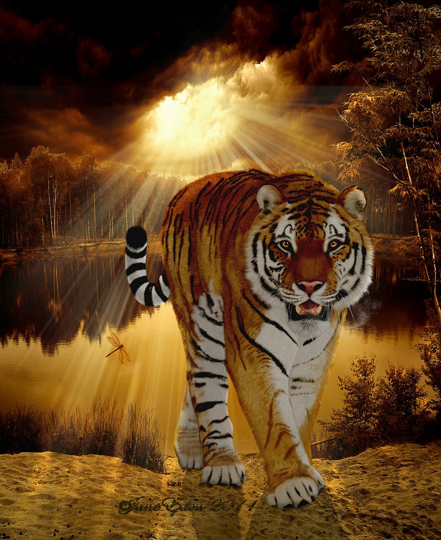 Siberian Tiger King Art - ID: 40698