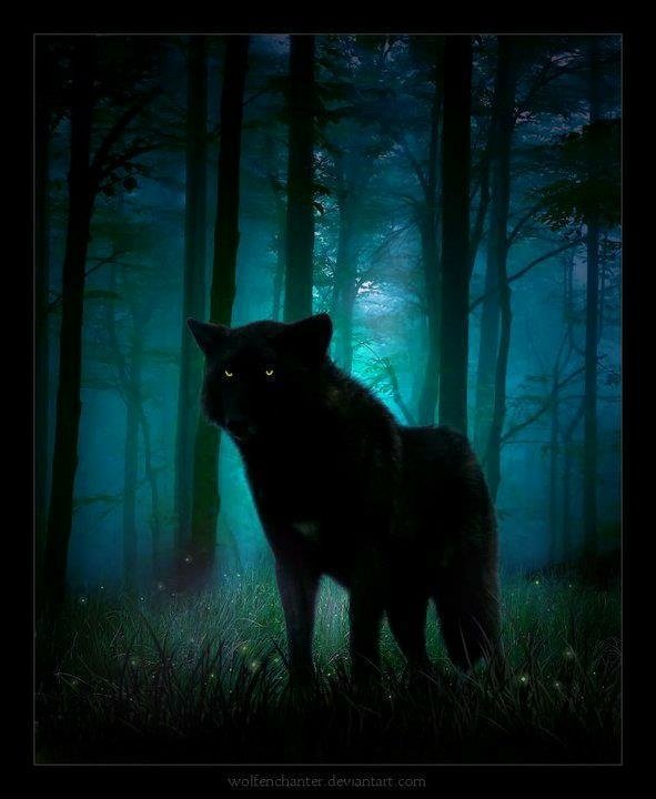A mysterious fantasy animal resembling a black wolf with glowing eyes stands in a shadowy, enchanted forest bathed in eerie blue light.