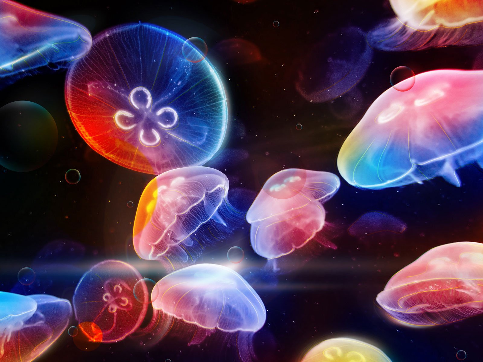 Jellyfish Art ID 41534 Art Abyss