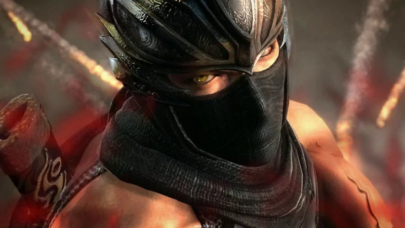 video game Ninja Gaiden Image