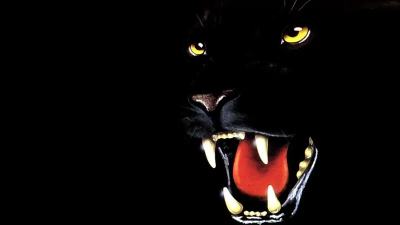 A striking image of a black panther's fierce face, featuring sharp white teeth and intense yellow eyes, set against a dark background that enhances its powerful presence.