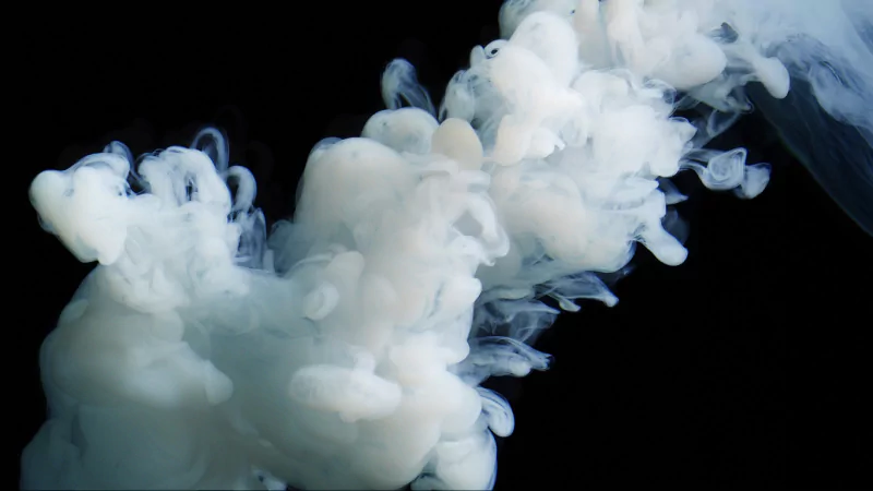 Abstract diffusion of milky white smoke curling and billowing into soft plumes and tendrils against a deep black background.