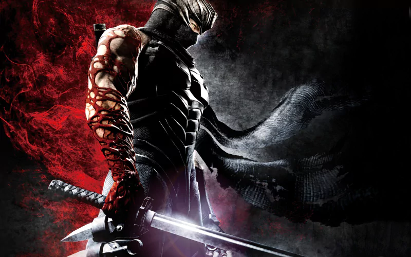 video game Ninja Gaiden Image