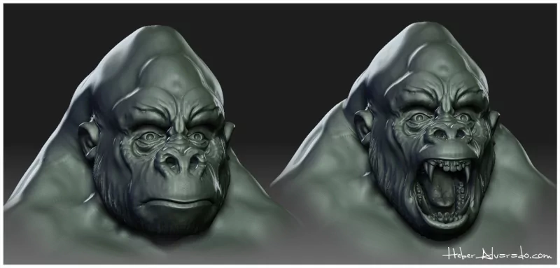  Gorilla Practice Sculpt by Hebs