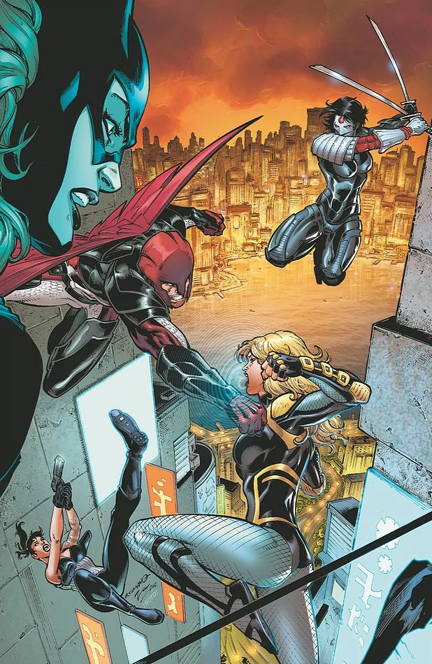 Comic Birds Of Prey Image