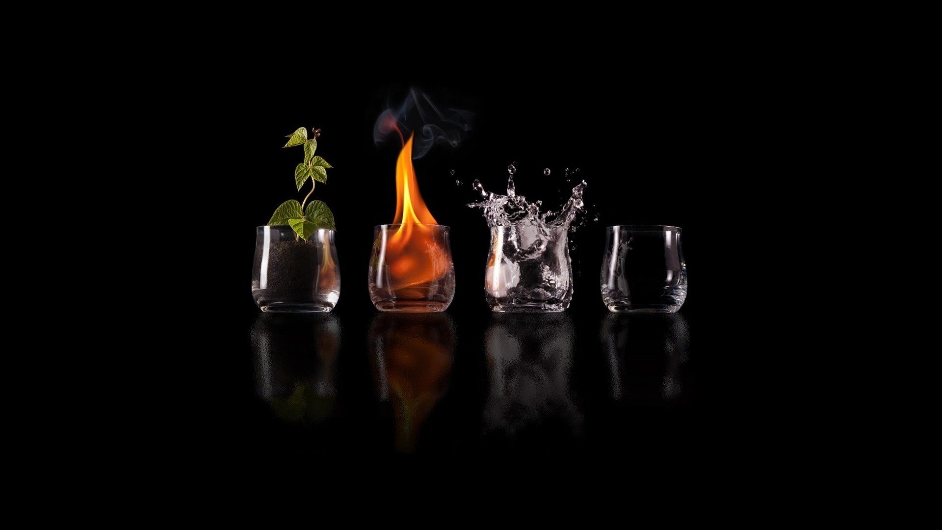Photography of four glass cups on black: a sprouting plant, a flame, a water splash, and an empty glass reflected below — symbolic earth, fire, water, air.