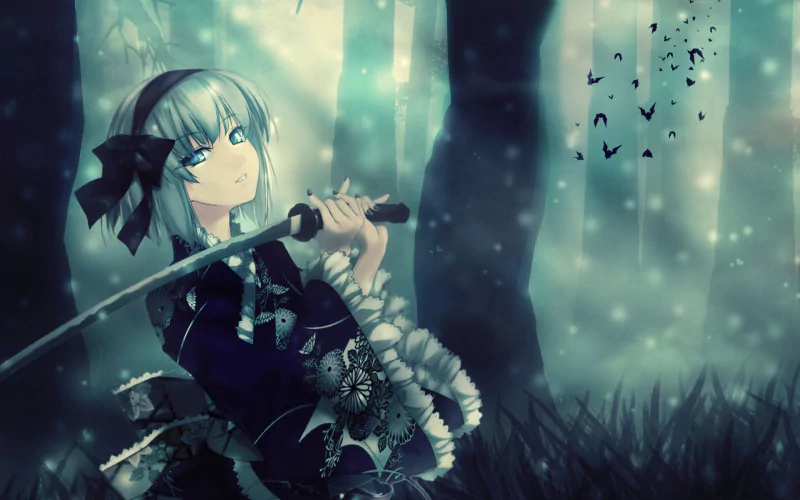 Youmu Konpaku Anime Touhou Image